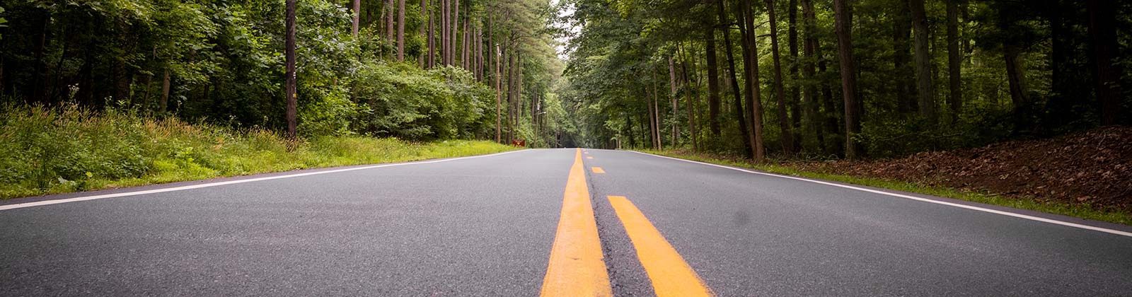 Carretera-y-bosque-panoramica